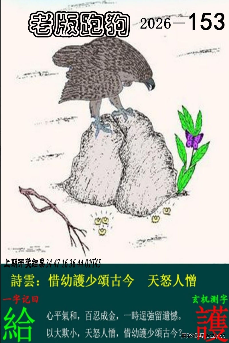 老版跑狗图